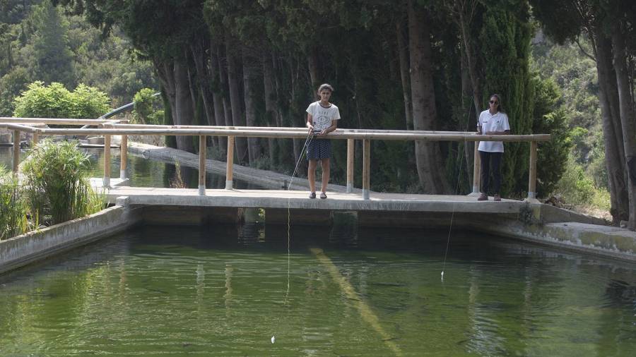 Les instal·lacions d’AiguaNatura permeten als visitants gaudir d’una jornada de pesca turisme. FOTO: JOAN REVILLAS