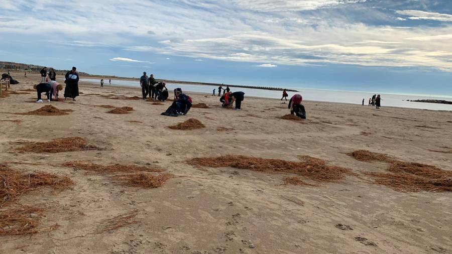 La limpieza en las playas de Cunit.