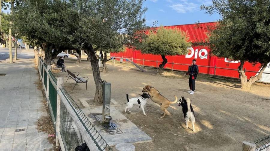 El parque para perros donde hubo la caída está situado en la avenida Pompeu Fabra. FOTO: Alba Mariné