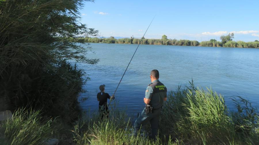 La Guardia Civil denuncia a 64 pescadores furtivos en el río Ebre. Foto: Guardia Civil