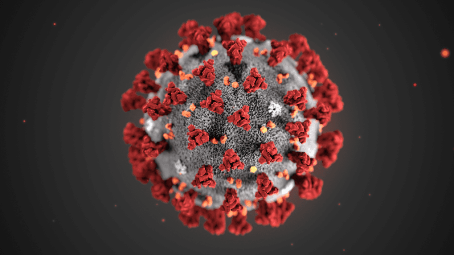 Imagen de la estructura del coronavirus. Cedida