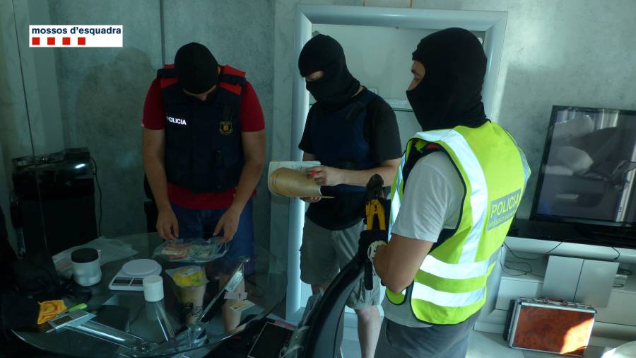 Agentes de los Mossos d'Esuqdra, durante un registro antidroga el pasado mes de julio