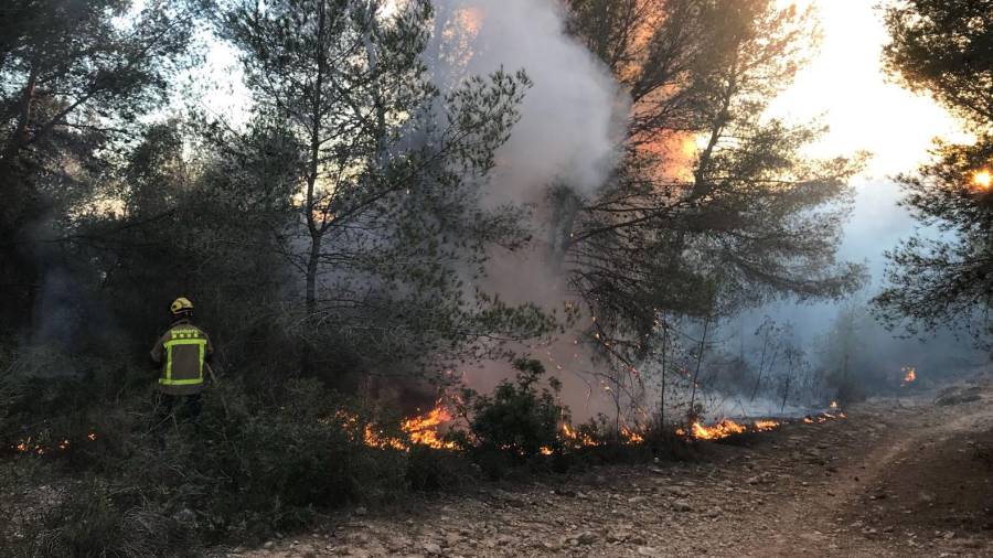 Los bomberos durante la extinción de este incendio forestal esta tarde. Foto: Policia Local de Altafulla