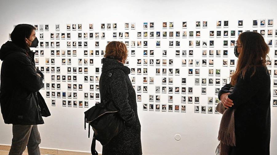 La exposición se puede visitar en el Museu d’Art Modern de la Diputació de Tarragona. Foto: Alfredo González