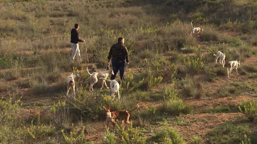 Imatge d'un grup de caçadors amb els seus gossos. FOTO: Cedida