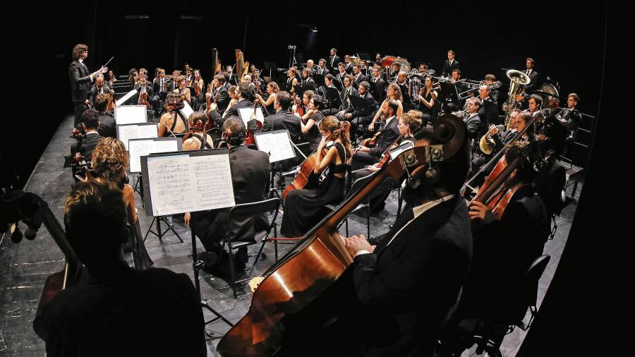 La Orquestra Simfònica Camera Musicae. FOTO: OCM
