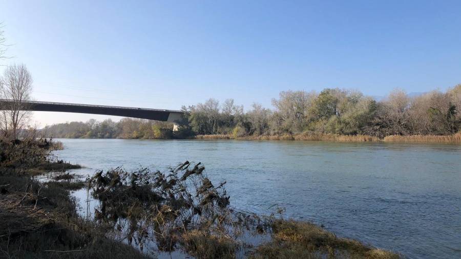 Imagen del río Ebre a su paso por Tortosa, en dirección hacia Campredó, donde se ha avistado el cadáver de una persona. FOTO: M.P.