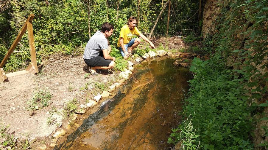 Hèctor Hernàndez i Jordi Pijoan en una de les basses plena d’aigua i d’anfibis. FOTO: àngel juanpere