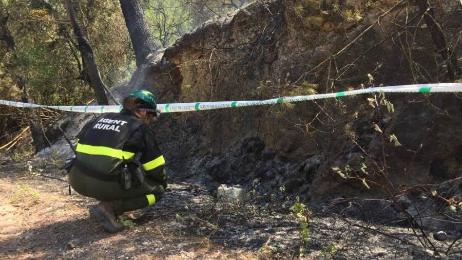 Agents Rurals investigan las causas del incendio de Tivissa. FOTO: Agents Rurals