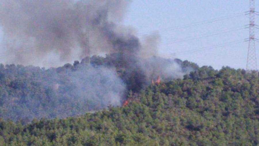 Els bombers treballen en un foc forestal a la Palma d'Ebre. Foto: Cedida