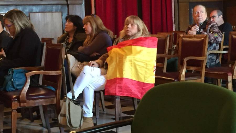 Una mujer sigue el pleno de Tarragona abrigada con una bandera de España