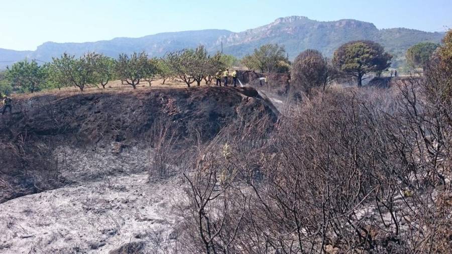 Los bomberos durante la extinción del primer incendio de hoy en Alforja. Foto: BBVV Alcover