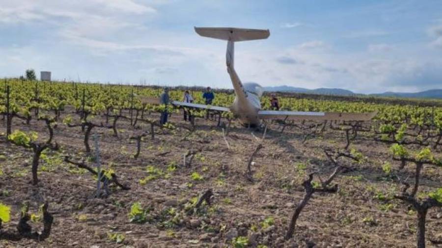 La avioneta aterrizó en un campo de viñas.