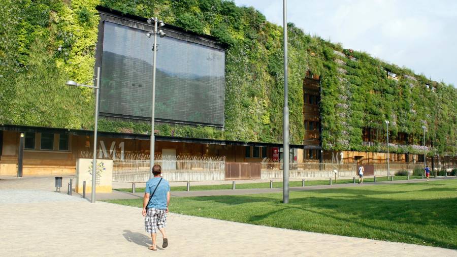 El espacio de ‘crowdworking’ Green M1 de Telefónica Open Future está ubicado en el edificio de la Tabacalera de Tarragona. FOTO: Cristina Sabaté