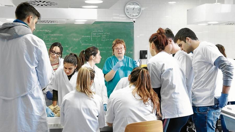 Estudiantes de la Facultat de Medicina de la URV, en Reus, en una clase de prácticas, hace unos días. FOTO: Alba Mariné