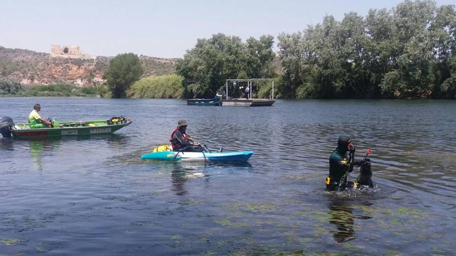Treballs al riu Ebre a Miravet, aquest dimarts. Foto: CHE