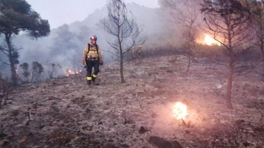 Imatge de l'incendi a Móra d'Ebre. Bombers