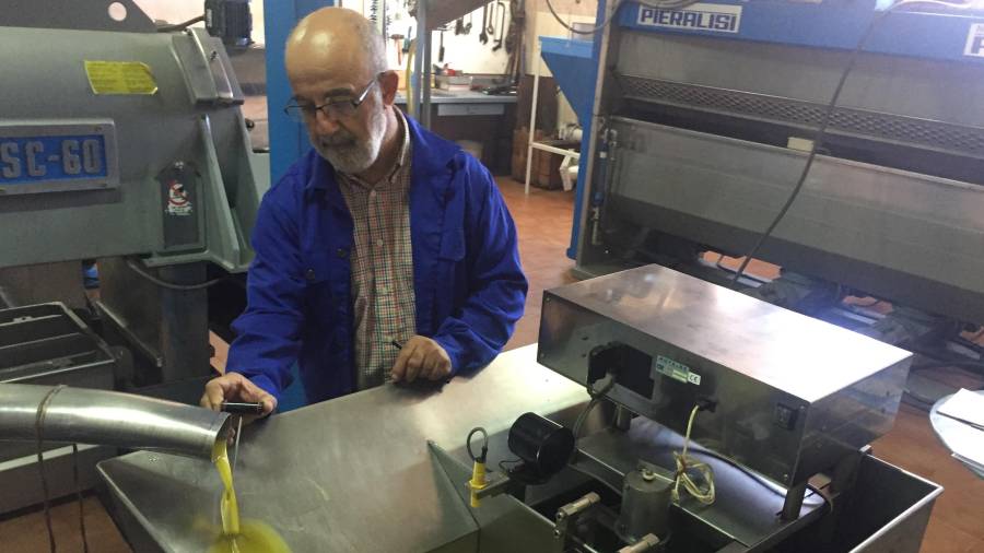 Imagen de uno de los operarios de la producción analizando la temperatura del aceite. FOTO: Consell Comarcal de la Ribera d’Ebre