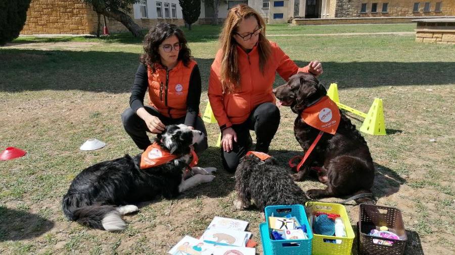 Imagen de algunos de los animales que trabajan en el proyecto Huscan. Foto: Cedida