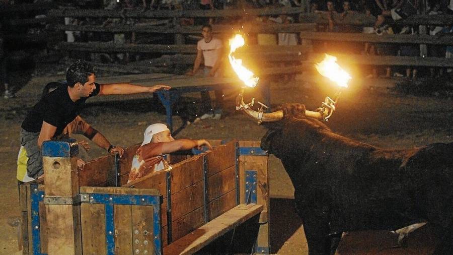 Imatge d’un bou embolat, un dels actes festius populars a lesTerres de l’Ebre. FOTO: Joan Revillas
