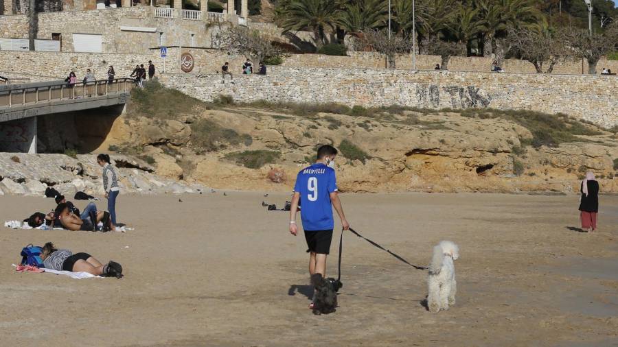 Tarragona contará con una playa para perros