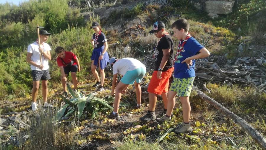 Los jóvenes del Grup Scout Àguiles limpiando Cap Salou. FOTO: CEDIDA