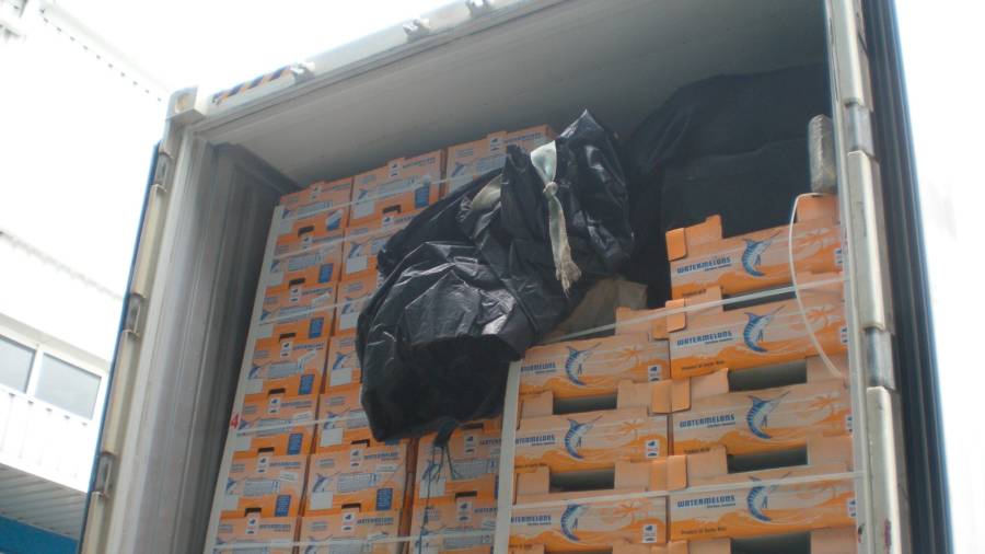 Los 150 kilos de cocaína estaban en una bolsa negra en medio de cajas de bananas. FOTO: DT