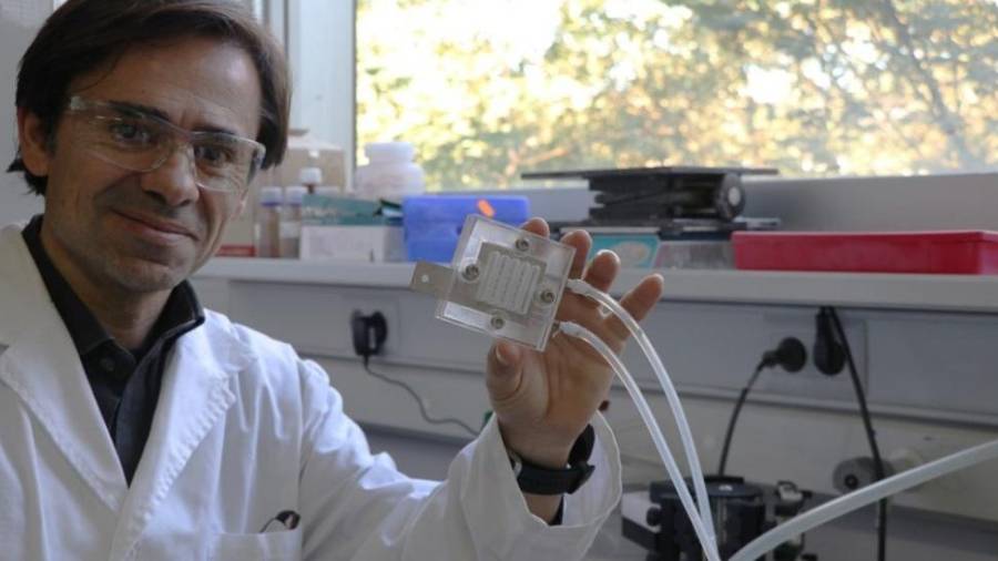 Ricard Garcia-Valls, investigador principal del grupo de trabajo que ha patentado esta membrana que captura dióxido de carbono. Cedida
