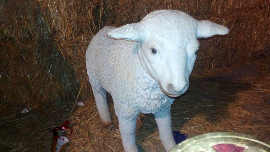 Una de las tres ovejas que se han 'extraviado' del pesebre de Creixell.