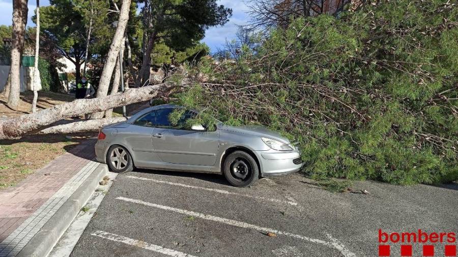 Un árbol caído encima de un coche en Cambrils. FOTO: Bombers