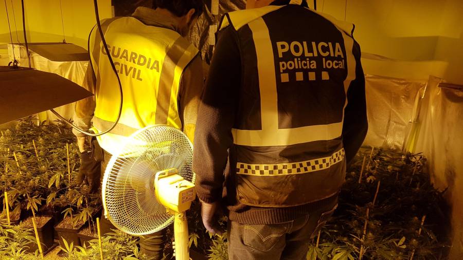 Dos agentes en el interior de una de las habitaciones reconvertida en invernadero. FOTO: Guardia Civil