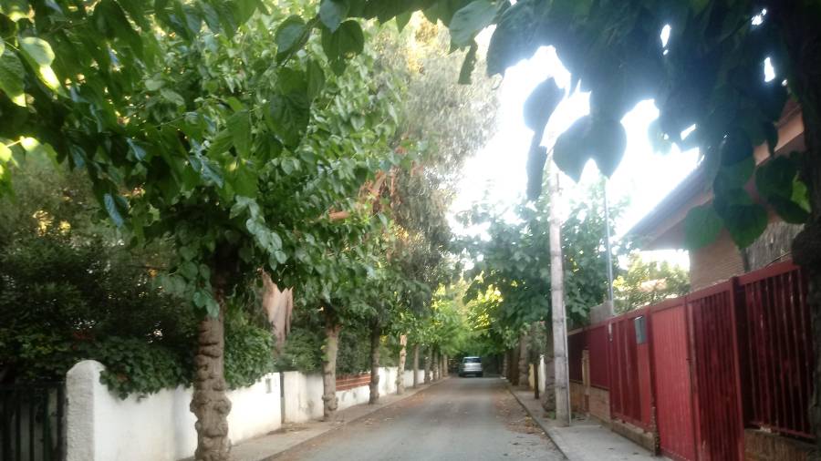 Calle de la Xarxa, dónde se detuvo a Eva el pasado jueves por hurto y violación de vivienda Foto: alba Nebot