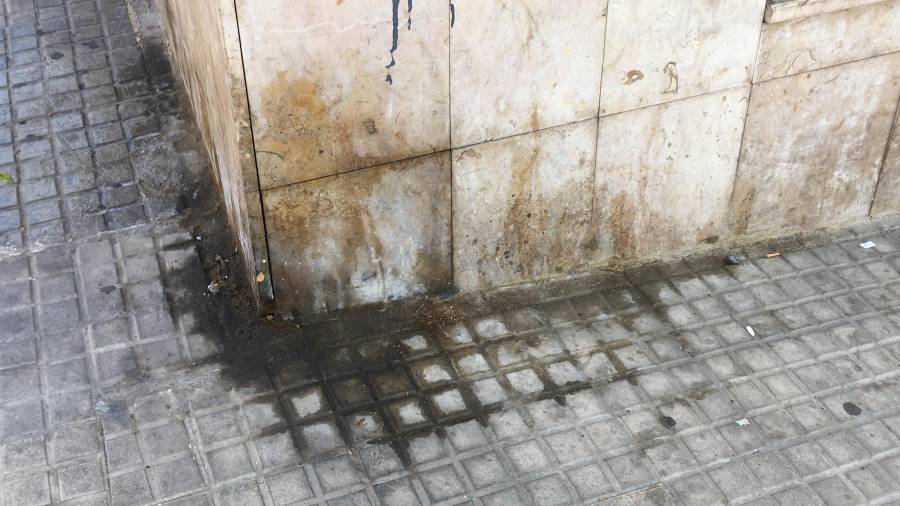 La huella de los perros añade disgusto al malestar vecinal por la suciedad de Tarragona.