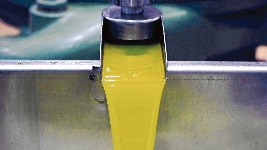 Detalle del proceso de prensado de aceite de oliva extra virgen. FOTO: Alfredo González