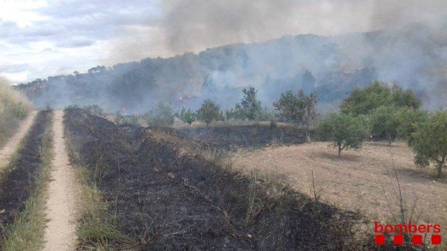 Imagen del incendio de Corbera d'Ebre. FOTO: Bombers de la Generalitat