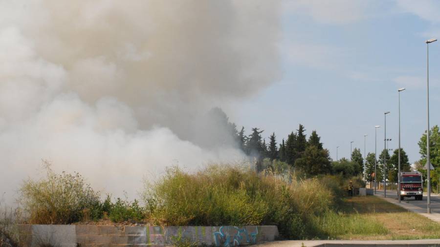 L'incendi ha provocat una gran columna de fum. Foto: Àngel Juanpere