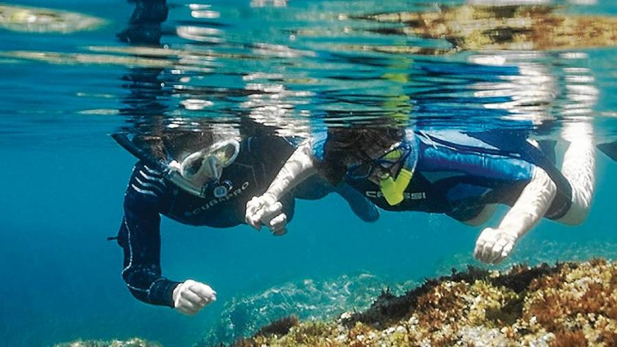 Durante el reto hay que mantener la cabeza bajo el agua. Foto: plàncton diving