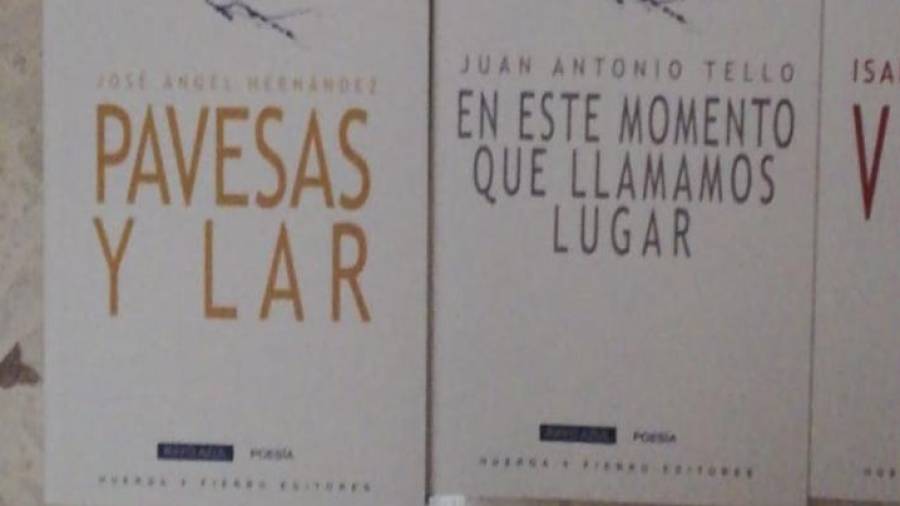 Dos títulos publicados de esta coleccción de la editorial Huerga y Fierro. FOTO: DT
