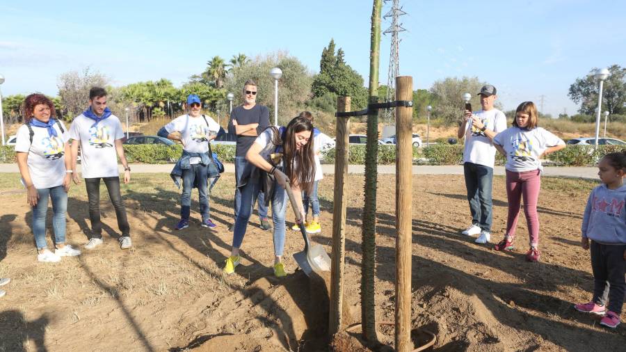 Los asistentes ayudaron a acabar de plantar los árboles en la zona de Emprius. FOTO: ALBA MARINÉ