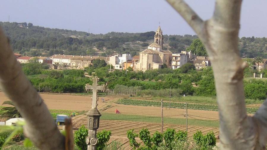 Los hechos tuvieron lugar en una explotación situada en el término municipal de La Riera de Gaià. Foto: DT