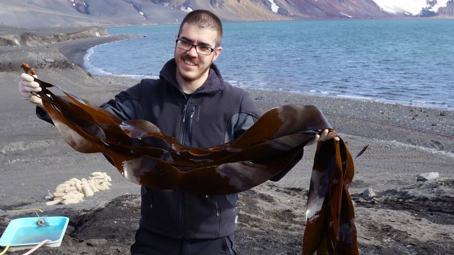 Es experto en botánica marina y en la Antártida ha podido investigar especies únicas. Foto: cedida
