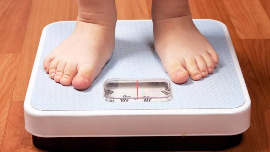 Cerca del 40 % de los niños de entre 3 y 8 años tiene obesidad o sobrepeso. Foto: DT