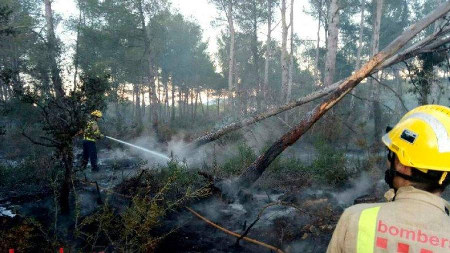 Imatge de les tasques d'extinció del foc de Rasquera. Foto: Bombers de la Generalitat
