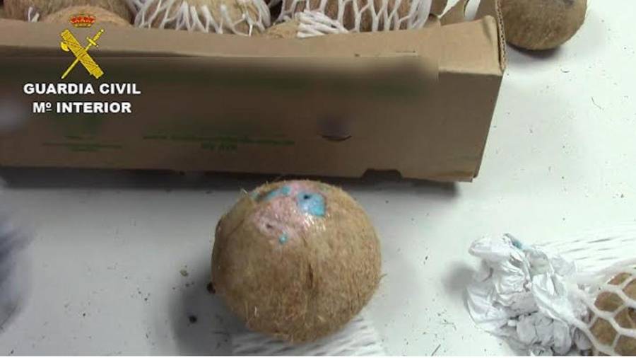 Uno de los cocos inyectados con cocaina líquida, procedentes de Colombia. Foto: EFE