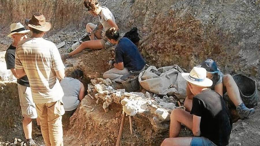 El equipo de arqueólogos, trabajando en el yacimiento de Torrelara junto a los restos de dinosaurio. FOTO: burgoconecta