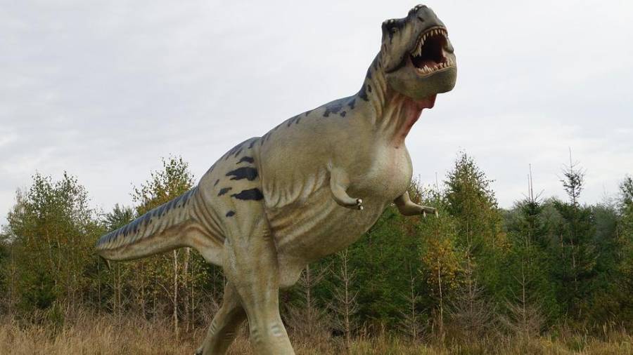 Reproducción de un Tyrannosaurus Rex