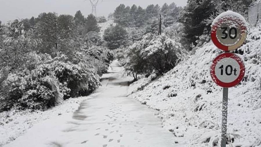 Imagen de la fuerte nevada en el municipio de Almoster. Foto cedida por: Isabel Sugrañes