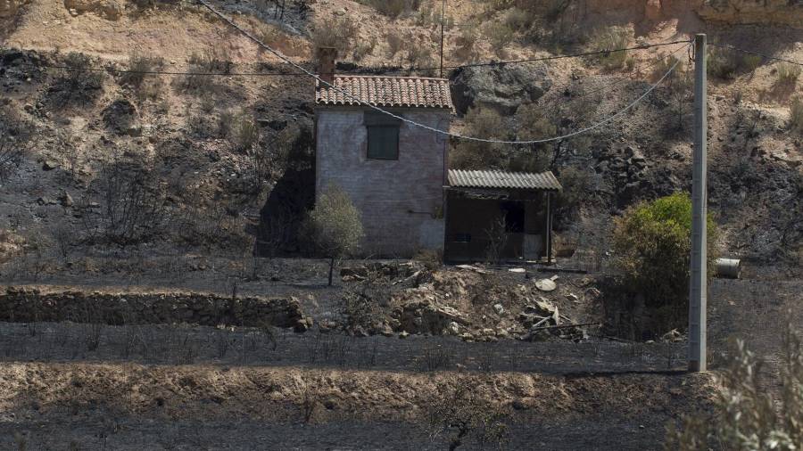 Imagen de unos terrenos de cultivo arrasados por el fuego en la Ribera d’Ebre. FOTO: Joan Revillas