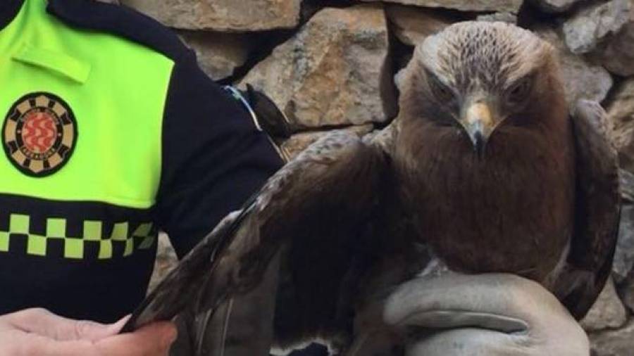 Un agente de la Guàrdia Urbana con el águila.