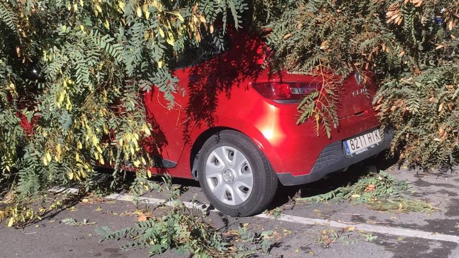 Un cotxe, 'enterrat' sota un arbre a Cambrils. FOTO: Alba Mariné